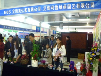 夢之草保鮮花在北京、菏澤花博會上大放異彩