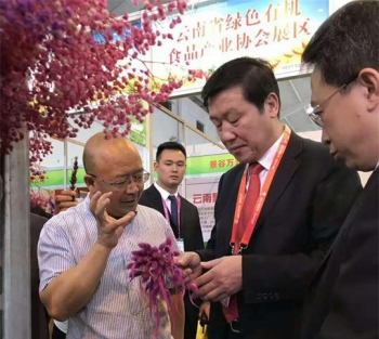 農(nóng)博會上與市領(lǐng)導(dǎo)進行考察