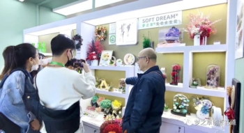 與夢之草?相約進(jìn)博會(huì)